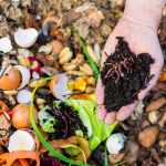 best worms for composting