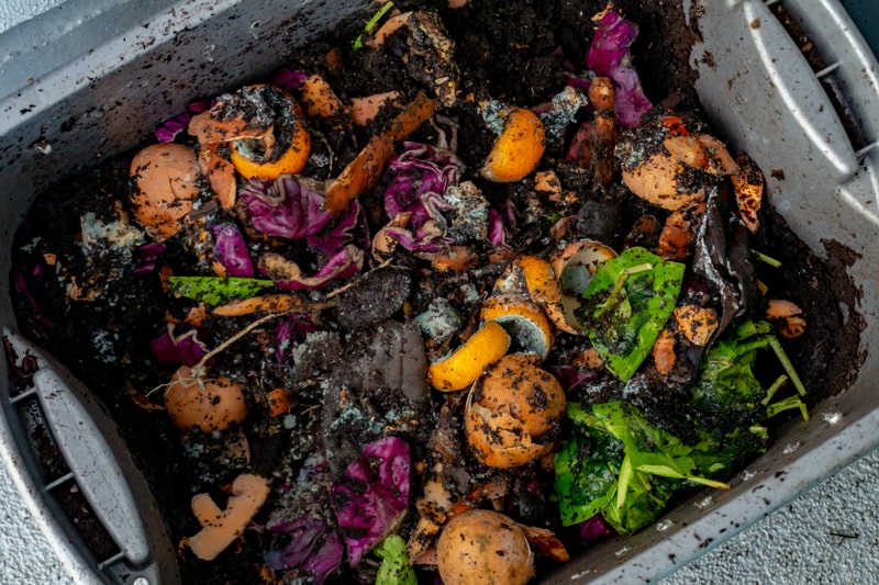 Problems composting with worms