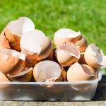 Eggshells to be used in compost