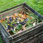 composting and vermiculture