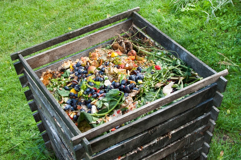 composting and vermiculture
